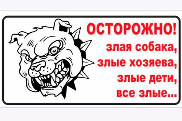 sob2E81A95F4-CD8A-B4B3-9069-0B126CA9ABC1.jpg