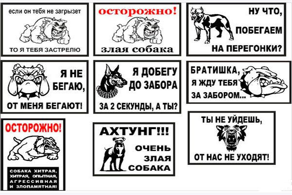 sob4B8FA3103-5CC3-B76B-7D30-4832068A7B12.jpg