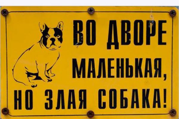 sob5EE9F05E5-3BBA-C599-DE24-E655B672AD73.jpg