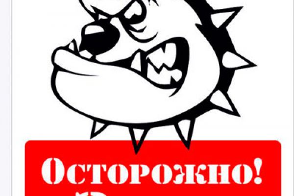 sob7024CBF6F-58B3-9B3E-D4F6-7BC2BE8E9114.jpg