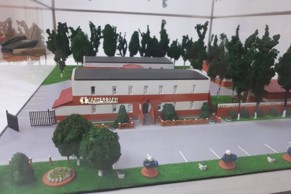 izobrazhenie-viber-2021-07-19-14-36-37-751E60DE19A-E5B8-A7C1-2E73-0A385EE52A54.jpg