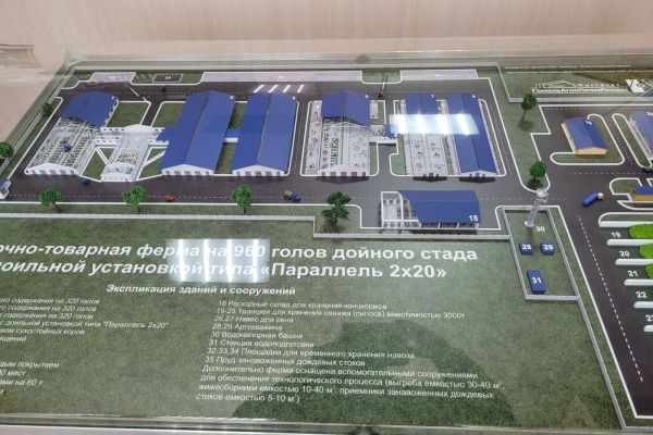 izobrazhenie-viber-2022-06-02-11-18-44-665478124A3-B22A-9CDB-6B7A-001560D6C1AC.jpg